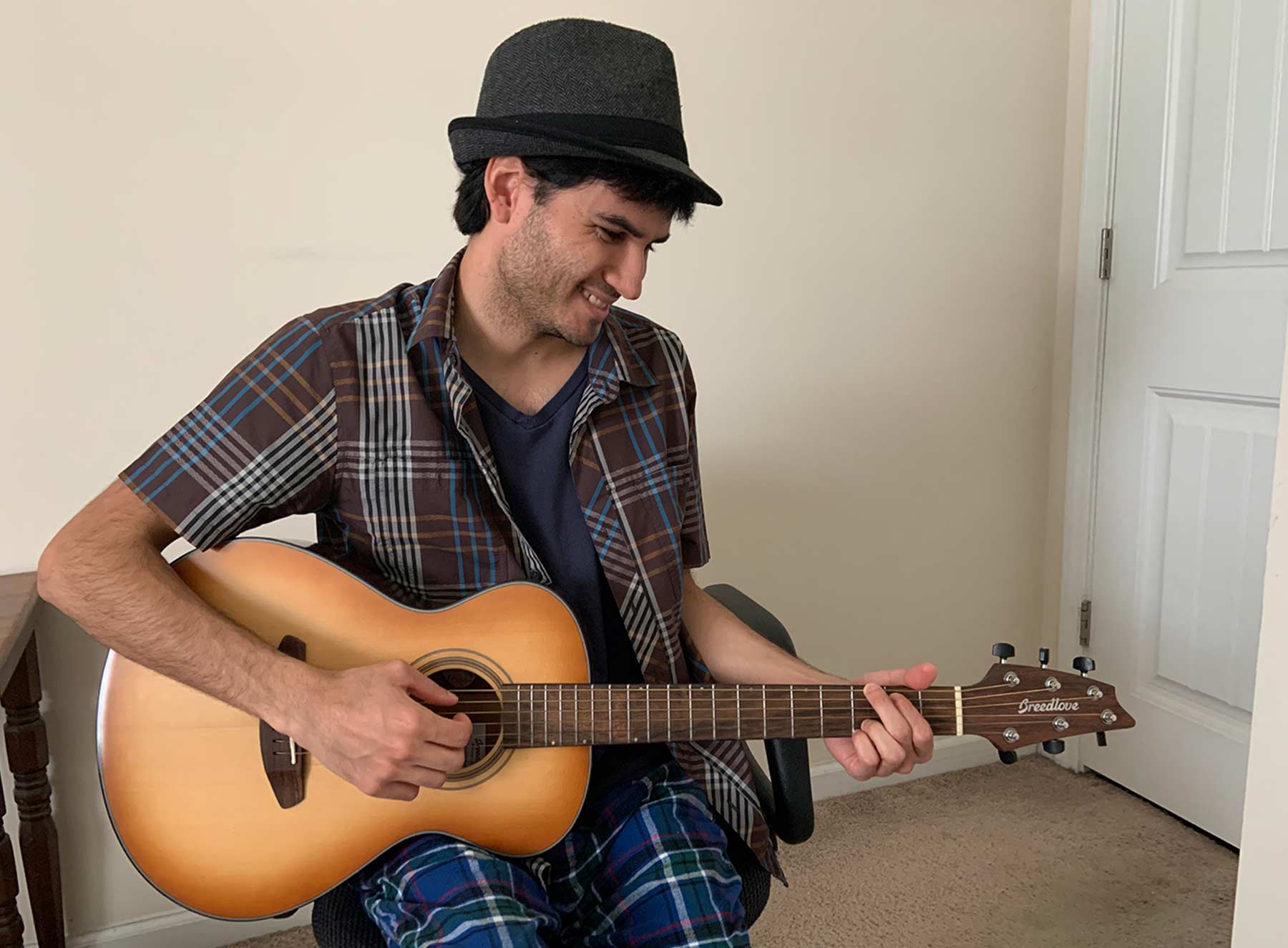 guitardesdription